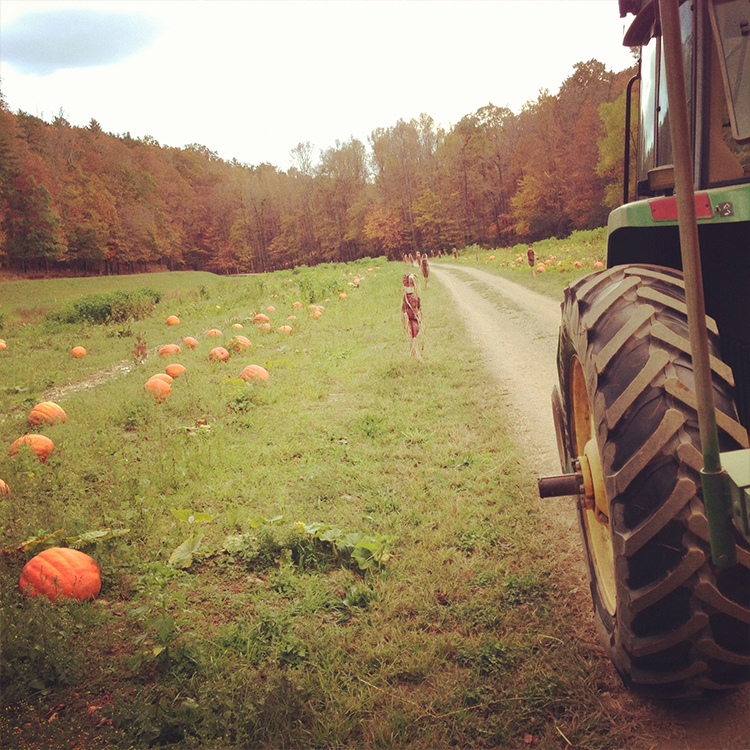 Farmers Make the Holidays Special